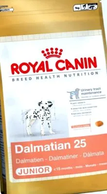 dalmát