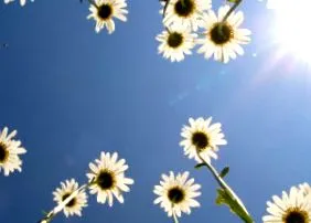 mint személyes