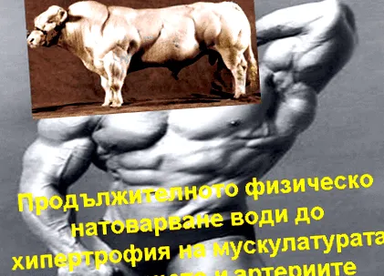 hipertóniás szív hypertonikus