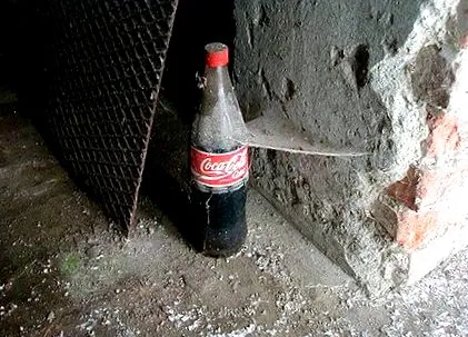 érdemes géntechnológiával módosított