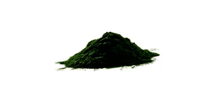 chlorella chlorella