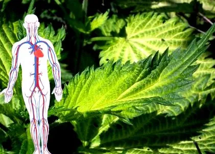 testéből tisztítsa