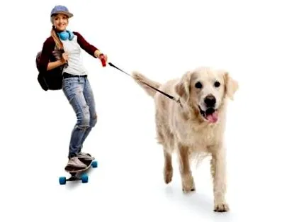 házi