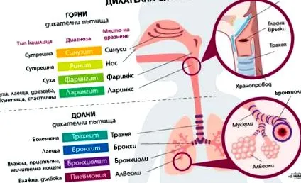 inhaláló használata