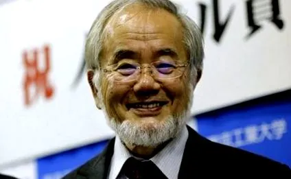 japán