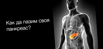 hasnyálmirigyünk blog