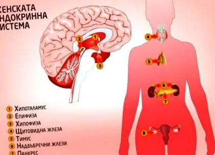 hormonális hogyan