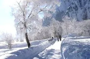 hogyan