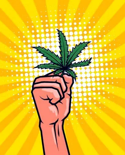 kannabisz hogyan