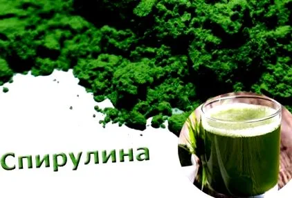 spirulina hogyan