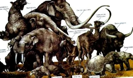 neandervölgyieket hogyan