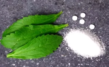 stevia stevia