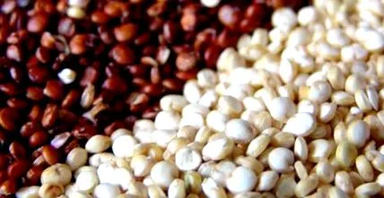 quinoa