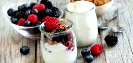 bulgaricus Streptococcus joghurt áron