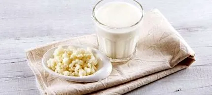 kefir kézikönyve