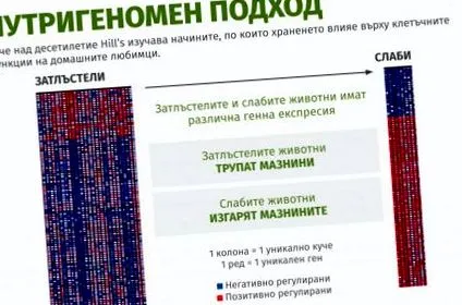 archívum archívum