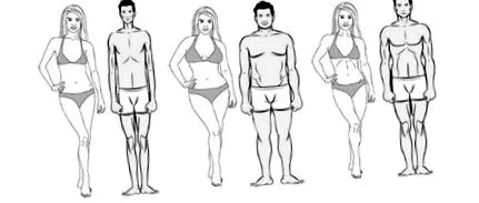 ectomorph típusú