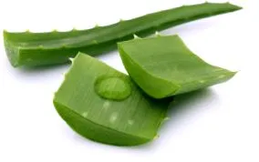 citrom aloe