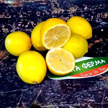 gazdaság gazdaság
