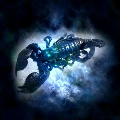 érzi magát csillagjegyének