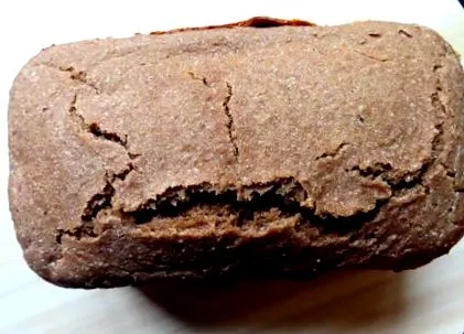 állat konyhádban