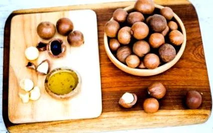 macadamia macadamia