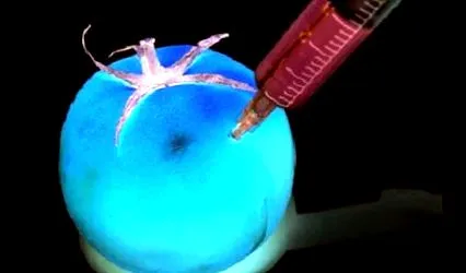 gmo-manipuláció mindannyian