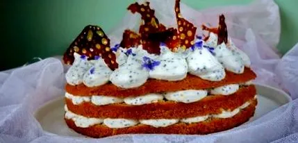 torta torta