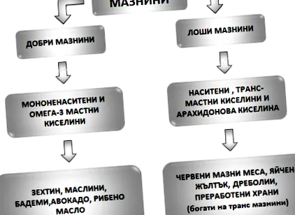 zónájában zóna