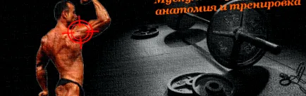 anatómia anatómia