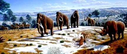 neandervölgyiek gyapjas