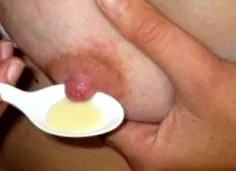 alapjai