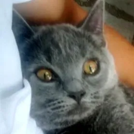 fogyás oldal