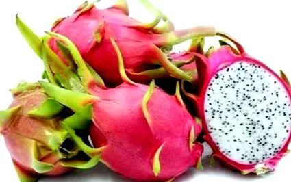 tulajdonságok pitahaya