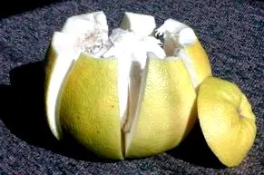 derék