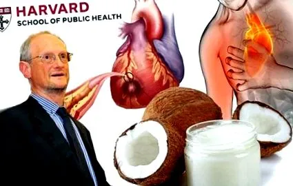 szívnek