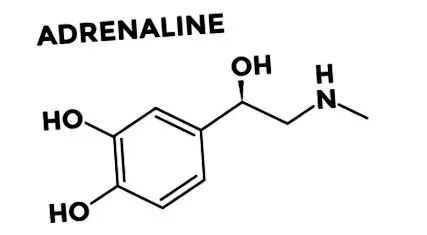 adrenalin hormonok
