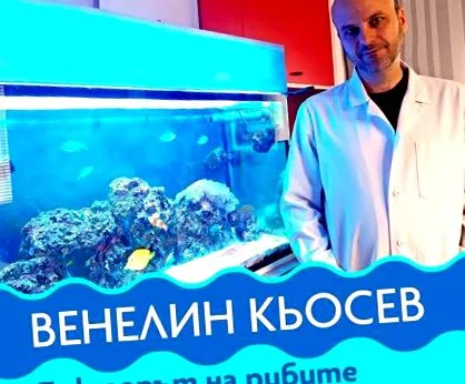 akvarisztika akvarisztika