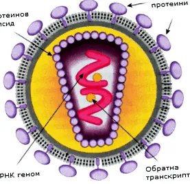 reverz transzkriptáz mikrobiológia