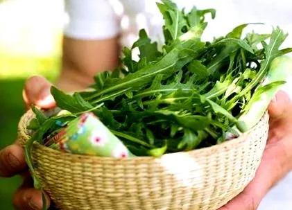 rukkola superfoods