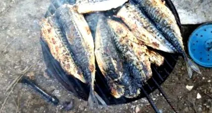makréla recept