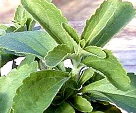 mint cukor mint cukor