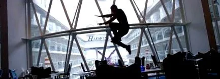 test szabadsága