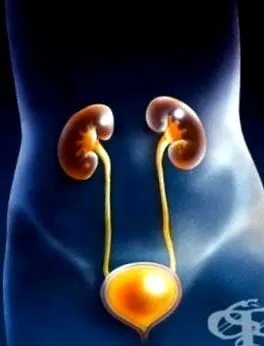 ágyéki régióba sérülés