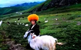 tibeti fogyás