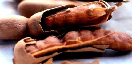 tamarind