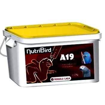újonnan nutribird