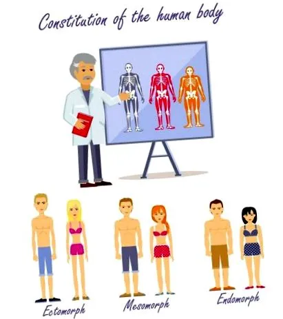SOMATOTYPE Testtípus testtípusok