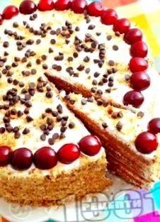 sziruptorta