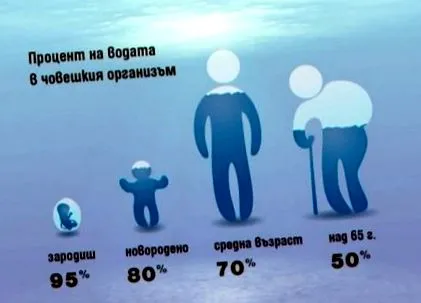 belső környezetének